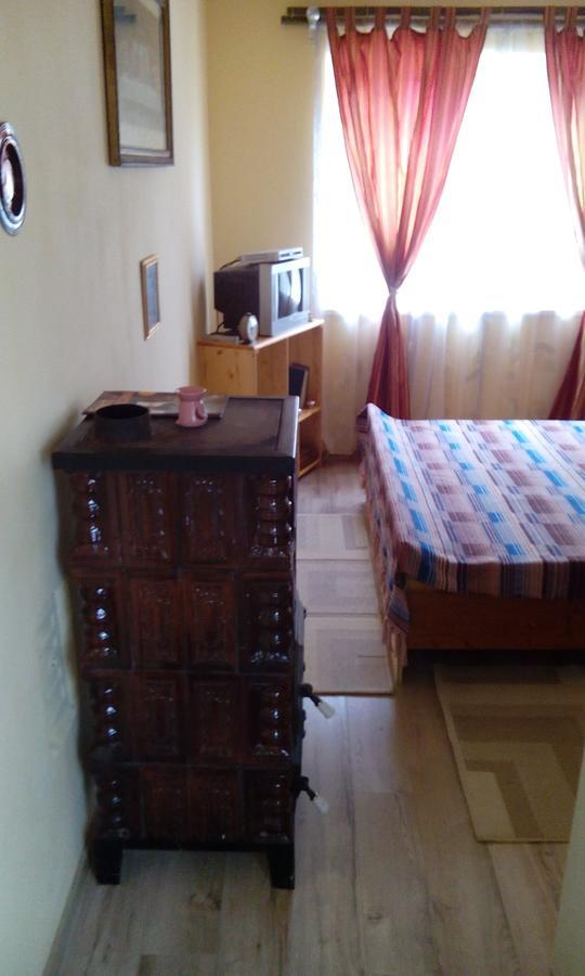 בית הארחה Dobra 	Casa Cosmin מראה חיצוני תמונה