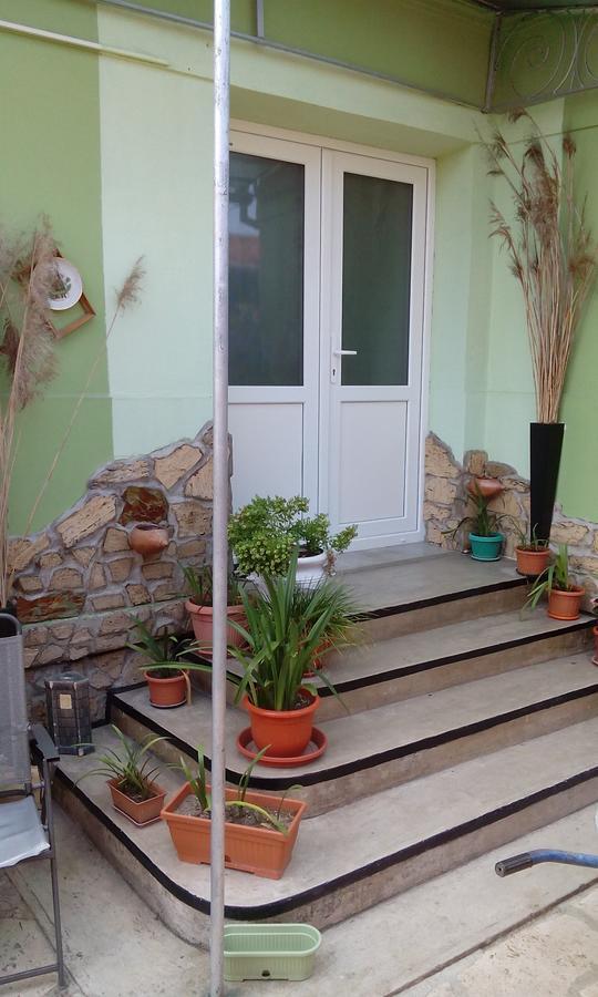בית הארחה Dobra 	Casa Cosmin מראה חיצוני תמונה